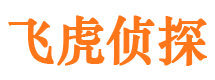 通道市侦探公司